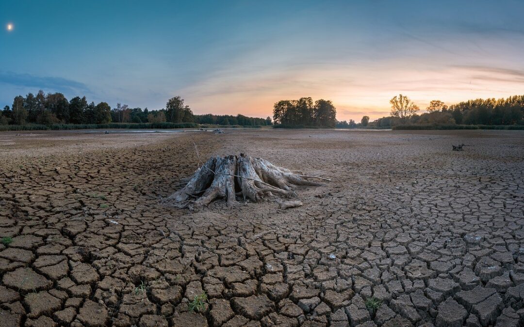 Declaratoria del Foro Minería y Cambio Climático RD-Haití