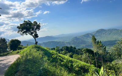 Nan yon Ayiti san Palman, nouvo dekrè minyè a louvri pòt pou endistri ekstraktif la